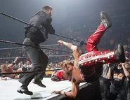 Royal Rumble 2006.11.jpg (45 KB)