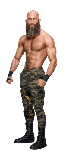 Tommaso Ciampa stat photo