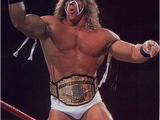 Ultimate Warrior