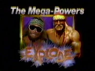 Randy Savage v Hulk Hogan