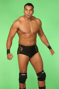 JinderMahal2011