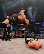 Joker's Wild 2013 7.jpg (443 KB)