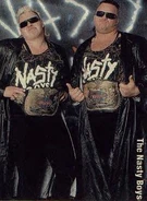 The Nasty Boys (March 24, 1991 - August 26, 1991)