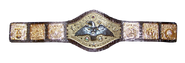 WWWF Heavyweight Championship (1972-1973)