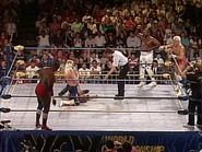 Wrestlewar 1991 2.jpg (108 KB)