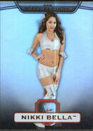2010 WWE Platinum Trading Cards Nikki Bella 87