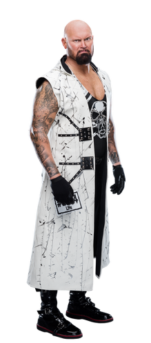 Luke Gallows Stat Photo