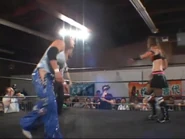 Shimmer 40.00069.jpg (38 KB)