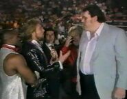 1.9.88 WWF Superstars.00013