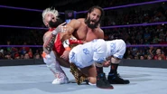 205 Live 13.jpg (87 KB)