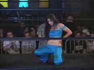 Shimmer 40.00035.jpg (57 KB)