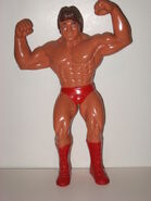 "Mr. Wonderful" Paul Orndorff