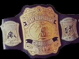 PCW ULTRA Light Heavyweight Championship