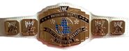 WWE Intercontinental Title (2011 - 2014)