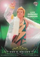 2010 BBM True Heart Japanese Women's Pro Wrestling Shinobu Kandori (No.10)