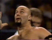 January 2, 1993 WWF Superstars of Wrestling.00017.jpg (21 KB)