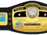 NWA World Heavyweight Championship