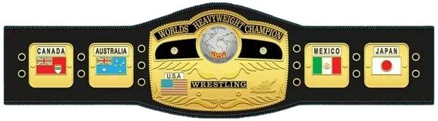 nwa championship