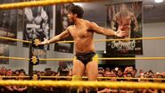 NXT Tournament at WrestleMania Axxess.4