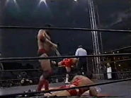 Road Wild 1997.00037.jpg (18 KB)