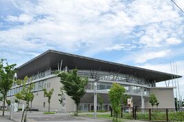 Wing Hat Kasukabe