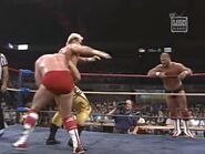 Great American Bash 1988.00014