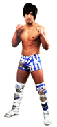 Ibushi NJPW costume