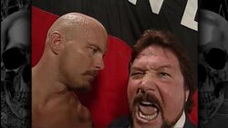 Stone cold steve austin the bottom line on the most popular superstar of all time watch online hotsell