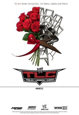 TLC 2013 poster