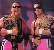 The Hart Foundation August 27, 1990 - March 24, 1991)