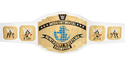 WWE Intercontinental Championship 2014