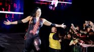 WWE WrestleMania Revenge Tour 2014 - Turin.9