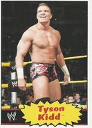 2012 WWE Heritage Trading Cards Tyson Kidd 41