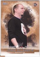 2017 WWE Undisputed Wrestling Cards (Topps) James Ellsworth 16
