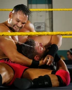 5-8-15 NXT 9.jpg (242 KB)