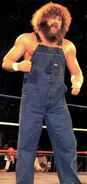 Hillbilly Jim 2