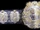 IWGP Heavyweight Championship