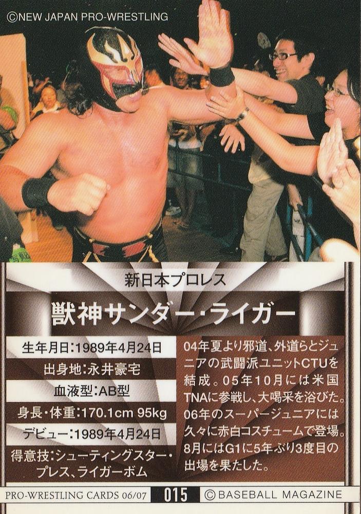 2006-07 BBM Pro Wrestling Jushin Thunder Liger (No.15) | Pro Wrestling |  Fandom