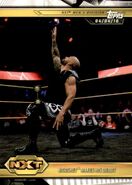 2019 WWE NXT (Topps) Ricochet (No.13)
