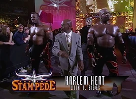 Harlem Heat 2000