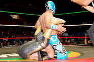 Martes Arena Mexico 11