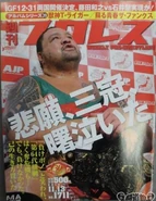 Weekly Pro Wrestling No. 1711 November 13, 2013