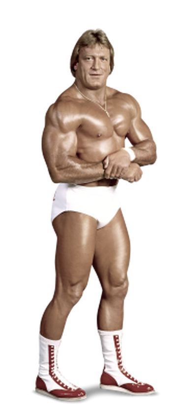 Mr. Wonderful' Paul Orndorff passes away at 71 years old - WON/F4W - WWE  news, Pro Wrestling News, WWE Results, AEW News, AEW results