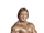 Paul Orndorff