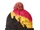Ultimate Warrior Pom Knit Beanie Hat