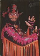 1994 WWF Action Packed Macho Man Randy Savage (No.39)