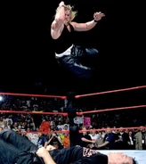 SummerSlam 1999 photo 018.jpeg (68 KB)