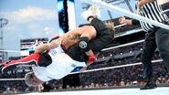 WrestleMania 33.34