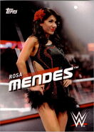 2016 WWE Divas Revolution Wrestling (Topps) Rosa Mendes (No.32)