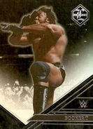 2023 WWE (Panini Chronicles) Booker T (No.248)